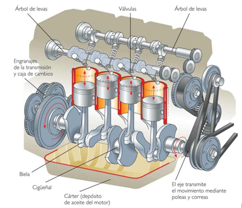 antepasado Vaciar la basura mecánico Motor Otto: Funcionamiento del motor y de sus válvulas | Monky Cars