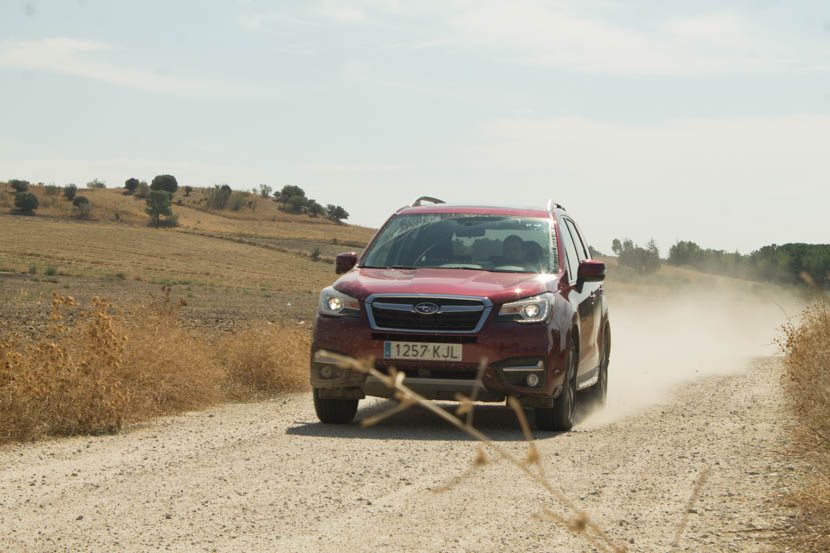 El Subaru Forester se defiende de manera sobresaliente en caminos no asfaltados