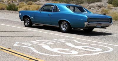 Muscle Cars y otras bestias